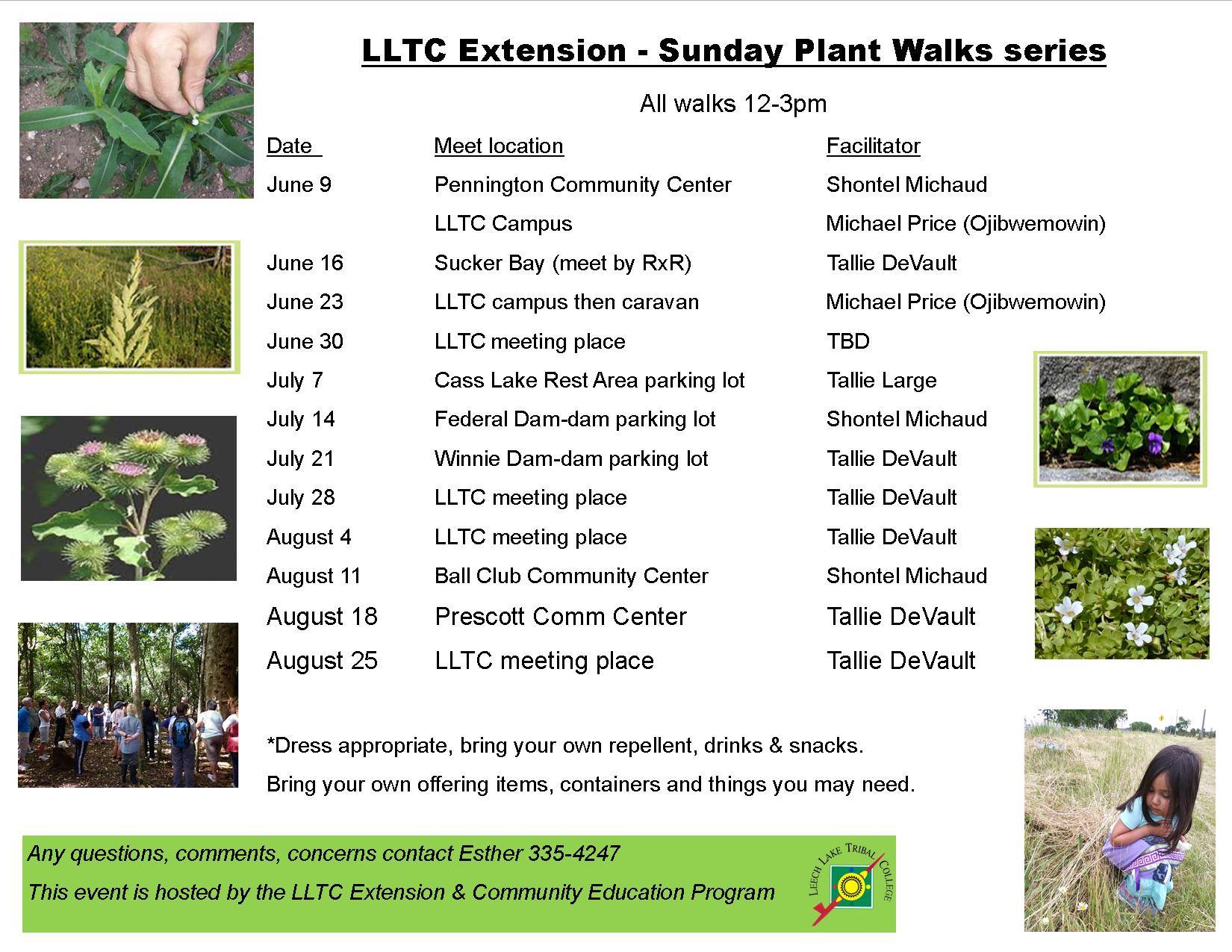 Sunday plant walk series